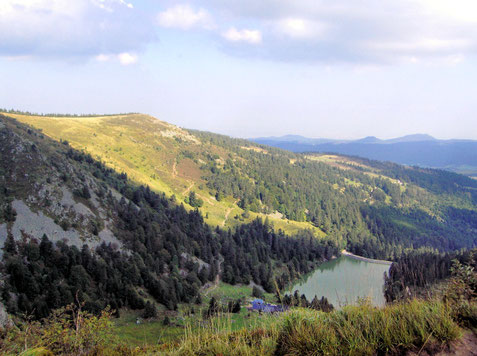 Lac des truites