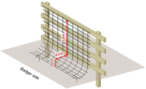 A Guide To Understand Deter And Exclude Badgers From A Garden Flowerpotman Landscape Gardener