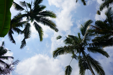Belize Urlaub