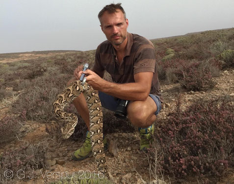 Me with a Puff Adder in Southern Morocco
