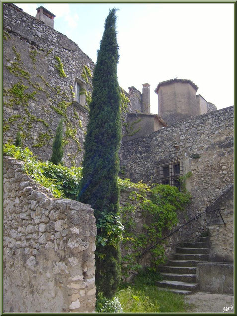 Recoin verdoyant au détour d'une ruelle au village d'Eygalières dans les Alpilles, Bouches du Rhône