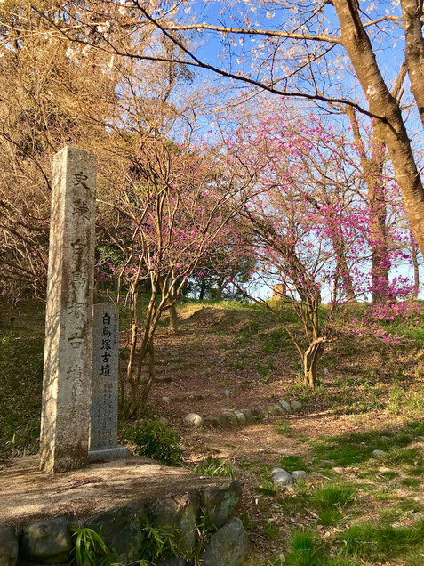 加佐登神社：白鳥塚古墳