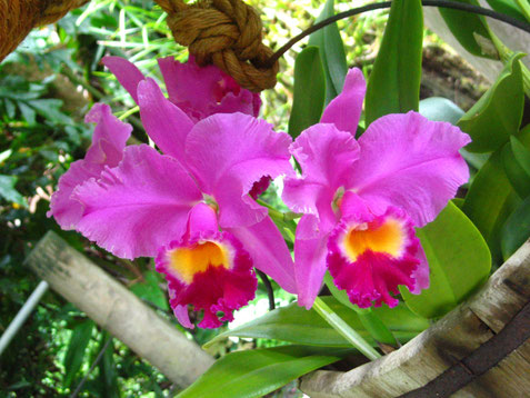 Schwangerschaft, stillende Mütter, ruhiges Baby, Entspannung, Zeit für sich, Wohlfühloase, Traute Zweisamkeit, Stille, Ruhe, Zuwendung genießen, Bequemlichkeit, Entspannung,