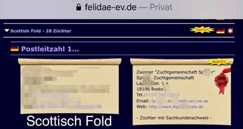April 2020, Verkaufsannonce von Scottish Fold Babys der Zuchtgemeinschaft S. aus Rostock auf der Webseite von Felidae-ev.de