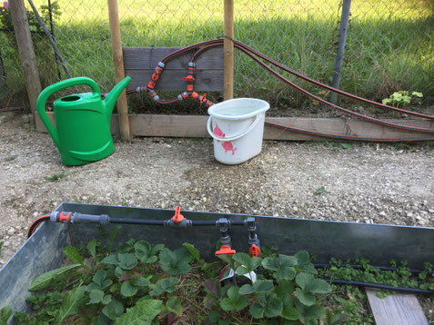 Garten Gestaltung Vonunseremgartens Webseite