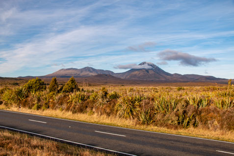 Work and Travel Langzeit-Auslandskrankenversicherung für Australien und Neuseeland im Vergleich