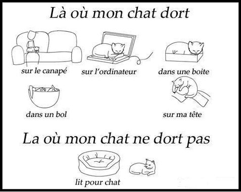 Mille Astuces Pour Une Vie De Chat Le Chat Forgeron