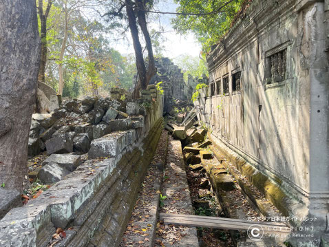 ベンメリア遺跡の回廊 30