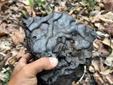 大プリアカン遺跡の製鉄所 5