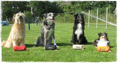 Hundefamilie von Kathrin B. jeder hat seinen eigenen Beutel