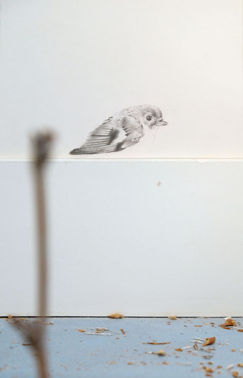 [ Life Span ]  Grafito sobre papel y restos de madera seca. Detalle.