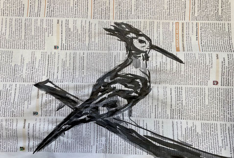 Vogel Wiedehopf schwarze Tusche auf Zeitungspapier