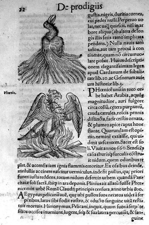 Prodigiorum ac ostentorum chronicon XVI Conrad Lycosthènes gravure sur bois Collection BIU Médecine Université de Paris 001429