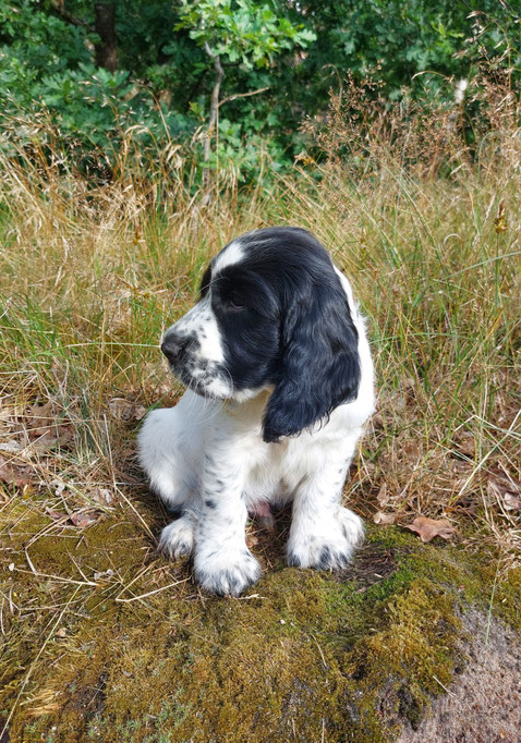 Jack (13.07.2025)