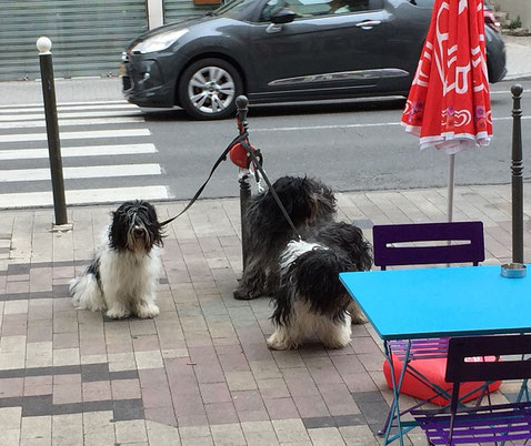 links Arthur, rechts Bootsmann, dahinter Emma