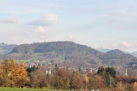 Der Batzberg ob Rüti (Bild: search.ch)