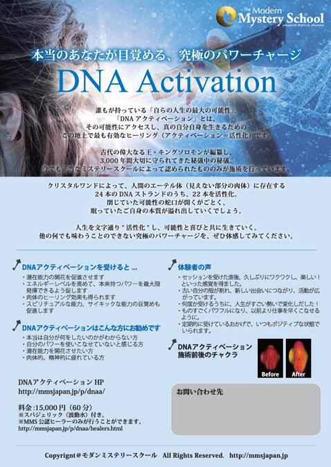 アデプトプログラム dnaアクティベーション jimdo