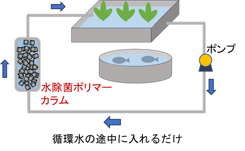 水耕栽培、植物工場、陸上養殖において循環水の途中に水除菌ポリマーカラムを挿入するだけで水の除菌が行えます