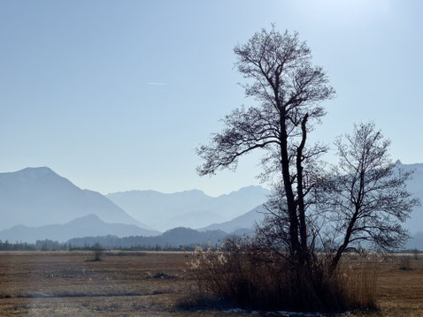 Foto: Wolfram Scheuermann
