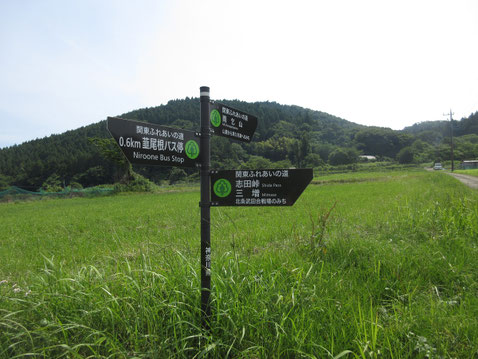 神奈川北部、愛川町の雨乞山は430m足らずの低山だが姿がいい