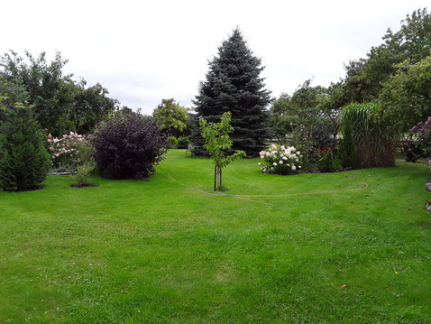 Relaxen unter freiem Himmel