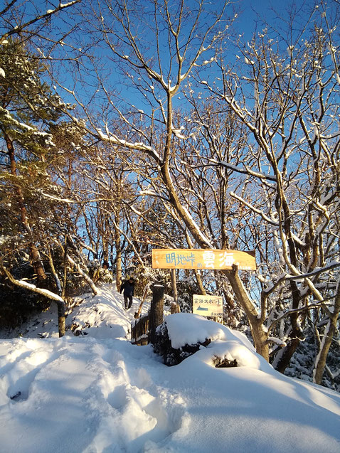 地元真住公民館さんが小山を切り開いて作ってくれた、雲海スポット。二つの明智展望駐車場の合間にあります。