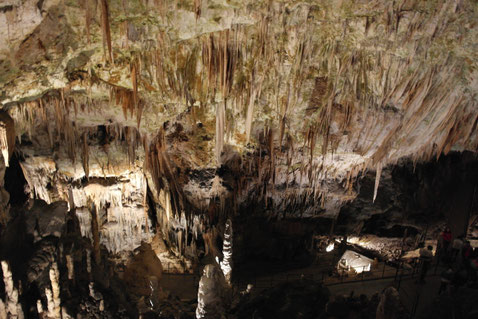 parete di stalattiti nelle grotte di Postumia