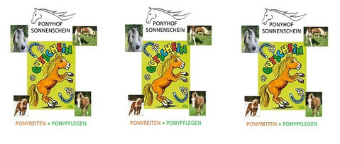 Komm aus Köln zum Ponyreiten - Wünsch Dir einen Gutschein !