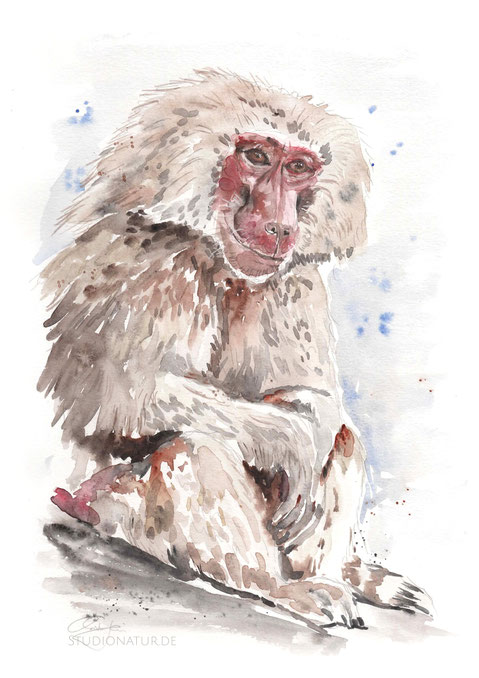 Pavian, Affe, Primat, dog ape, baboon, Evolution, Zoo, Zootier, Aquarell, Kunstwerk, Original, Gemälde, Illustration, Giraffenaquarell, contemporaryart, zeitgenössische Kunst, watercolour, watercolor, aquarela, aquarelle