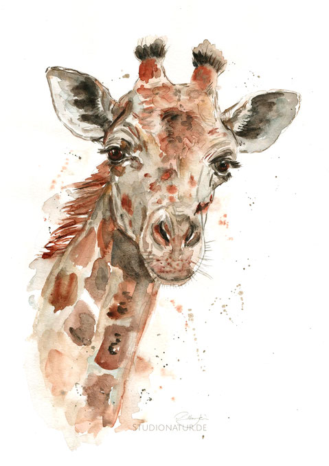 Giraffe, Langhals, giraffe, Evolution, Zoo, Zootier, Aquarell, Kunstwerk, Original, Gemälde, Illustration, Giraffenaquarell, contemporaryart, zeitgenössische Kunst, watercolour, watercolor, aquarela, aquarelle