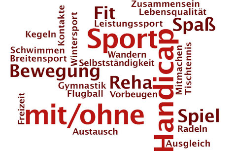 Sport mit/ohne Handicap -Fit-Spaß-Bewegung-Reha-Spiel
