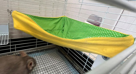 デグーハンモック、コーナーハンモック デグー コーナー ハンモック ベッド 春夏用 （デグー ハンモック