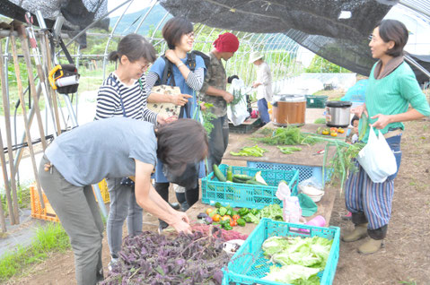 野菜作り教室　農業体験　体験農場　自然栽培　オーガニック野菜づくり