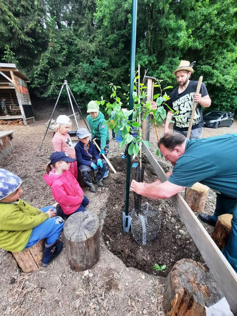 Fleissige Hände unter guter Anleitung