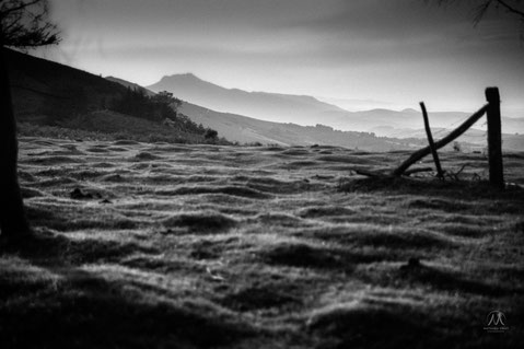 © Mathieu Prat - Photographe - Bayonne - Pays Basque