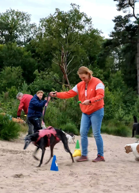 Interactieve oefening tijdens zomeravondwandeling met hond