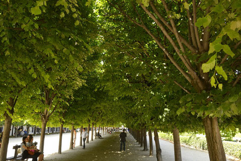 Parcs Paris