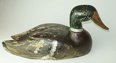 Mallard drake decoy duck with rotating head