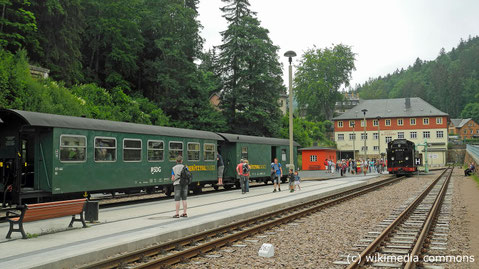 Sonntag: Auf der Rückreise nach Wien machen wir in Freital Halt, wo wir mit der Weißeritztal Dampfbahn eine gemütlich Fahrt nach Kipsdorf unternehmen.
