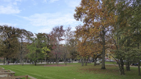 リュクサンブール公園