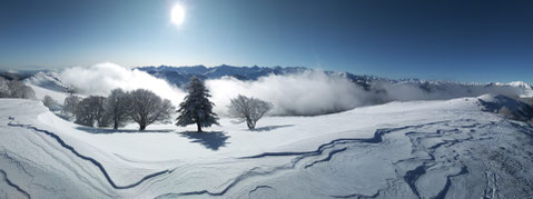 Novembre 2019