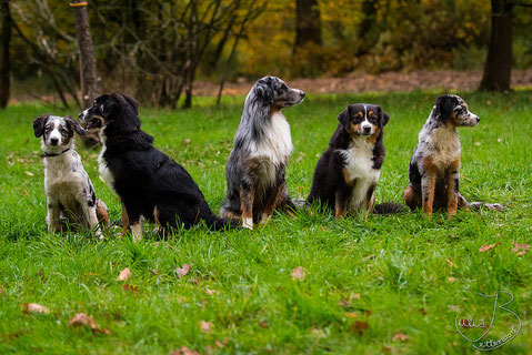 v.l.n.r. Libby, Leela, Charlie, Jenna, Kate (am 26.10.13)