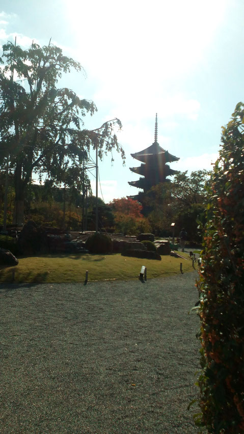 東寺の五重塔　京のシンボルタワー