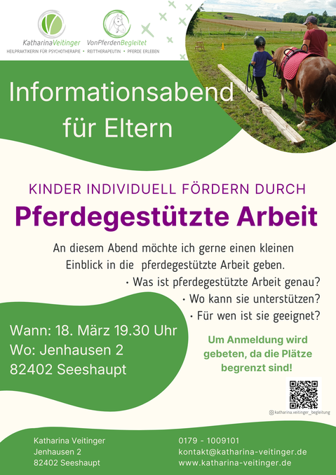 Infoabend pferdegestützte Arbeit 