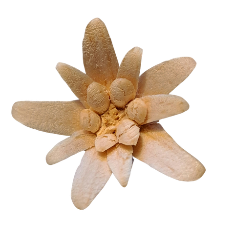 Handgeschnitztes Edelweiss