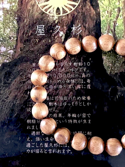 屋久杉ブレスレット