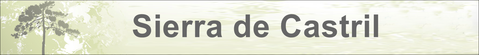 Enlace a Sierra de Castril