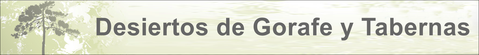 Enlace a Desierto de Gorafe y Tabernas