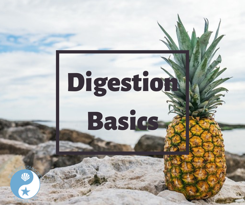 Digestion Basics over a pineapple on the beach - Beachside blog