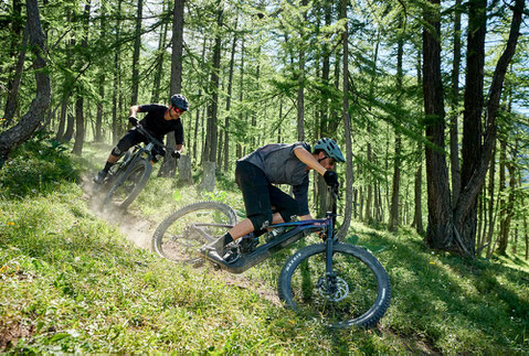 Zwei Männer auf dem neuen Trail e-MTB von Giant